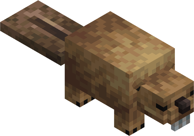 Beaver — Primal Survival creature