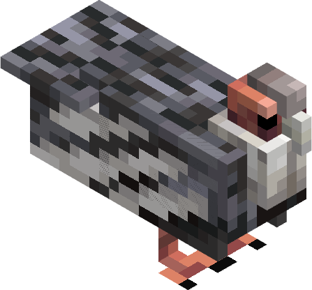 Condor — Primal Survival creature